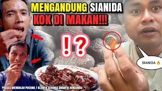 BUAH BERACUN❗ INI CARA ORANG DESA MENGOLAHNYA | PUCUNG KLUWEK BUAH HUTAN #omunyilexplorer