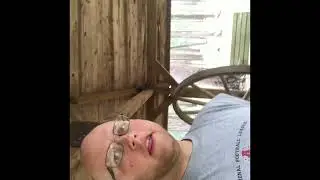 How&rsquo;s that work? Antique logging equipment