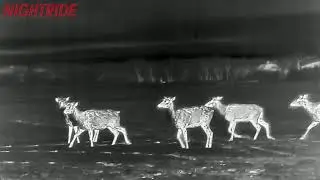 NightRide Thermal's 360: Watch the Game Live