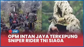 🔴 Terkepung Total! Sisa Pasukan OPM Intan Jaya Kelaparan, Sniper Rider TNI Siaga