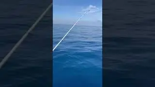 Pesca a seppie in barca