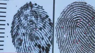 Local forensic investigator describes misconception people have about the job