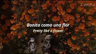 Coldroses ; Flower // [Sub Espa&ntilde;ol + Lyrics]