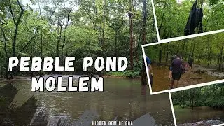 🌿 Hidden Paradise in Goa! 🌧️