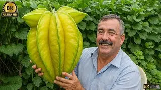 15 Frutas Tan Extrañas Que No Creerás Que Se Pueden Comer #FrutasExtrañas #FrutasRaras
