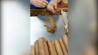 Look How the Perfect Cigar Is Made | Precision, Skill & Passion.