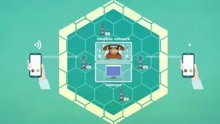 Cellular Network: Navigating the Maze