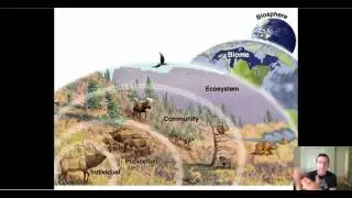 Ecological Levels of Organization