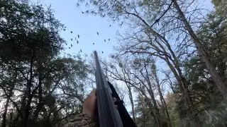Finally Last Day Band-tailed Pigeons & Squirrel Hunting In December 28, 2025 (EP-03)