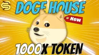 🐶 DogeHouse ($DHOUSE) 400BNB presale filled in 1 second ⚠️ Just launched - Should You Buy?