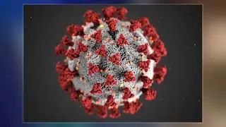 Public Health Emergency Of International Concern