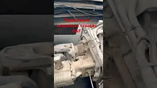 Problem shifting DAF gears