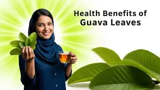 HEALTH BENEFITS OF GUAVA LEAVES
