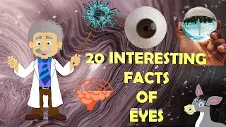 20 Interesting Facts Of Eyes|Connect Reality|Amazing Facts