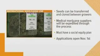 State releases emergency marijuana rules