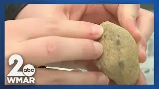 Digging in the dirt to discover the past