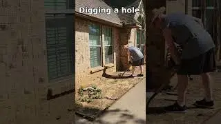 Suspicious Activities at Night - Digging a Hole #shorts