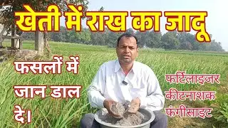 राख का फसलों, बागवानी और गमलों में प्रयोग #राख 