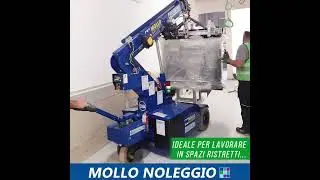 MOLLO NOLEGGIO: GRU PICK AND CARRY GALIZIA G20E.