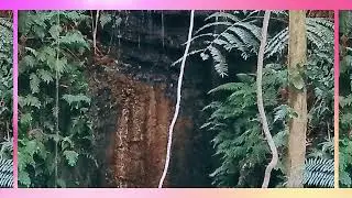 🌴 Discover 'Eua Island! 🌴