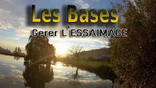 Les Bases | G&eacute;rer l'essaimage