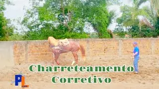 CHARRETEAMENTO -COMO ENSINAR VOLTAS R&Aacute;PIDAS E LADEAR