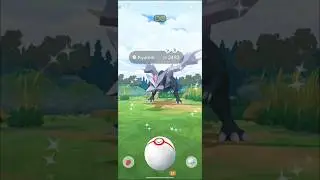 Caught!! Shiny ✨ Kyurem on Fusion Raid Day 🤩  #shorts #pokemongo #trending
