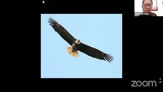 Lakota Eagle Story