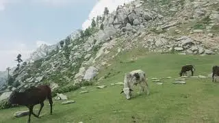 On the way to Dwa Saro mountain