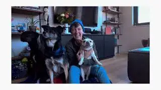 the barking meter - NYC's ultimate k9 concierge