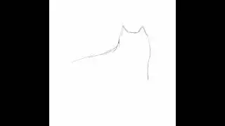 Happy Cat Sketch using Adobe Fresco on my iPad and Apple pencil #timelapseart #shorts