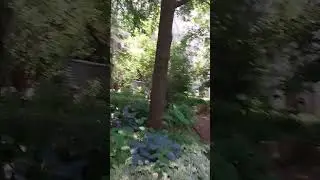 times up volunteer Garden Greenup at green Oasis Community Garden 2024 NYC