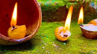 Survival Skills: Lifehacks Amazing Torchlight wax Lamp fire starter #survival #camping #lifehacks 