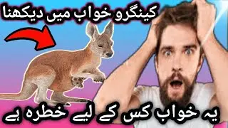 Khwab Mein Kangaroo Dekhna || Islamic Dream Interpretation||Khwab Mein Kangaroo||Kangaroo||