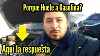 Sabes Porque Tu Auto Huele A Gasolina? AQU&Iacute; La Respuesta!!!