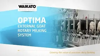 Reduce operator fatigue with the Optima Rotary Goat Milking Parlour System | Waikato Milking Systems