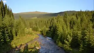 Buta Arpad- Ne sirj mar