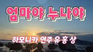 #엄마야 누나야(동 요) B키 #하모니카 연주 유 홍 상 #황악하모니카예술단 소속 