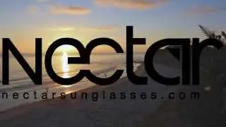 Nectar Sunglasses || The Sweet Life