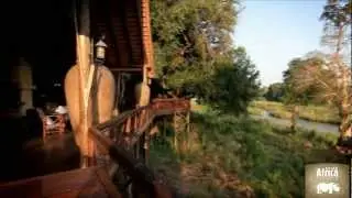 Discover Africa's Wildlife at Tinga Game Reserve | Rhino Africa