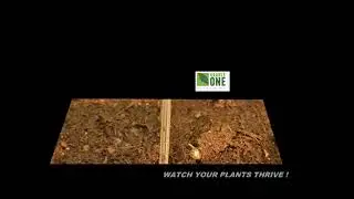 OPTIMIZING SEEDS | TREATED vs UNTREATED (24 HR Timelapse) | ArableONE