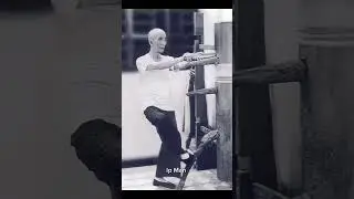 #ipman #cab2drs #wingchun #shortvideo #ipman #ytshorts #greenscreens #memories