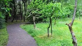 5216 Rosedale St NW, Gig Harbor, WA 98335