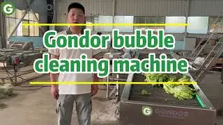 ✨ Gondor Bubble Vegetable Washing Machine - Efficient & Hygienic Veg Wash Machine #foodmachinery