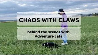 Chaos with Claws
