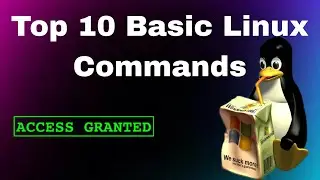 Top 10 Basic Linux Commands | Sikhne Waale | Hindi