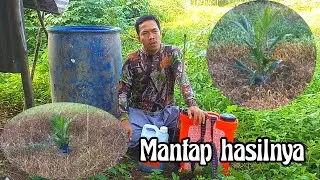 Penyemprotan piringan terbaik sepanjang masa