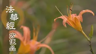 【靜思妙蓮華】法華經方便品 - 方便施教 對機而演 - 20200507 第279集