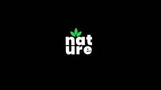 Nature LoGo Animation