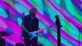 John Cale performs  